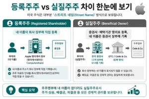 애플 주식 등록주주와 실질주주 차이 및 스트리트 네임 구조