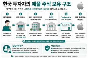 한국 투자자가 애플 주식을 보유하는 구조와 DTC Cede & Co 설명