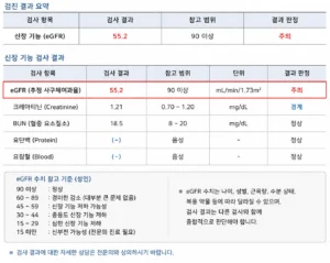 건강검진 eGFR 검사 결과 예시와 신장 기능 수치