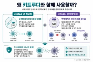 모더나 mRNA 암 치료제와 키트루다 병용 치료 원리