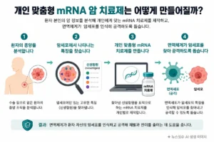 개인 맞춤형 mRNA 암 치료제 제작 과정