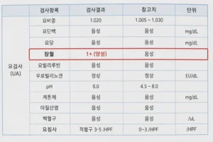 건강검진 소변검사 잠혈 1+ 양성 결과표 예시
