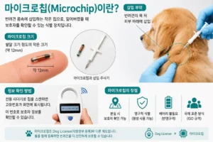 미국 반려견 마이크로칩(Microchip) 구조와 삽입 위치 설명 인포그래픽