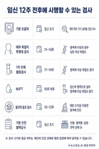 임신 12주 전후 시행할 수 있는 초음파와 산전검사 종류