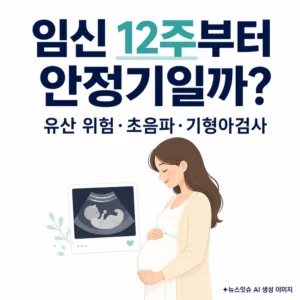 임신 12주부터 안정기인지와 유산 위험 및 산전검사를 안내하는 이미지